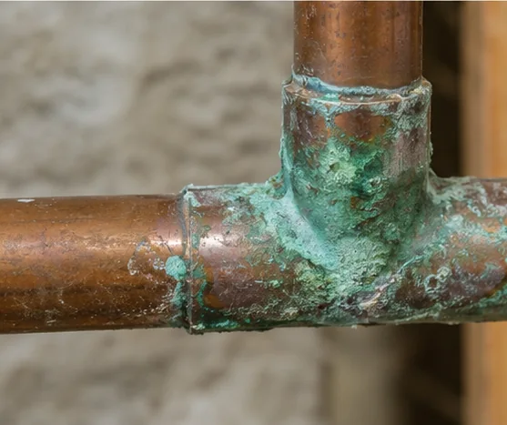 Clay Sewer Lateral & Root Intrusion — Glencoe