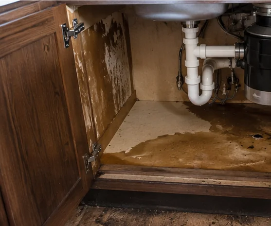 Home inspection in Glencoe, MN